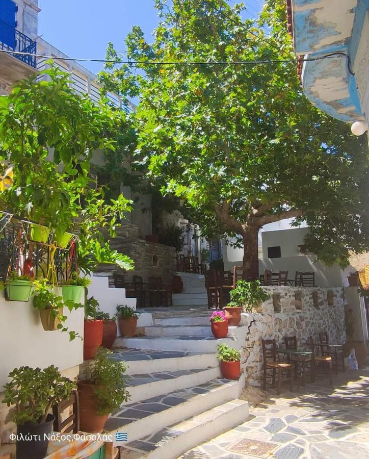 Fasolas Square House 